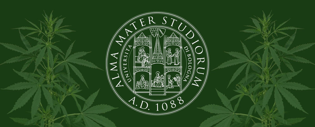 Colaboración de investigación con la Universidad de Bolonia