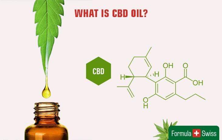 ¿Qué es el CBD? La guía completa para el uso, beneficios y riesgos del aceite de CBD y el Cannabidiol